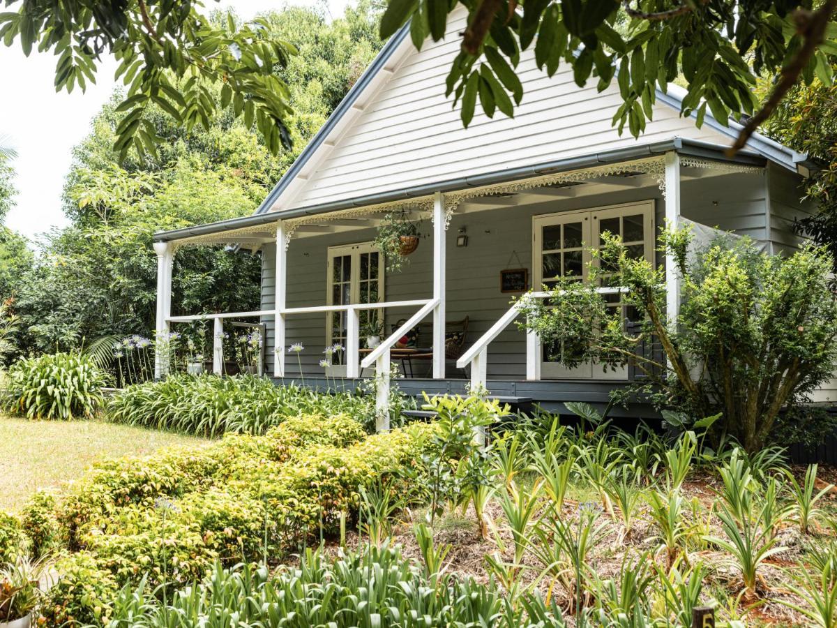 Romantic Cottage, Tamborine Mountain Exteriér fotografie
